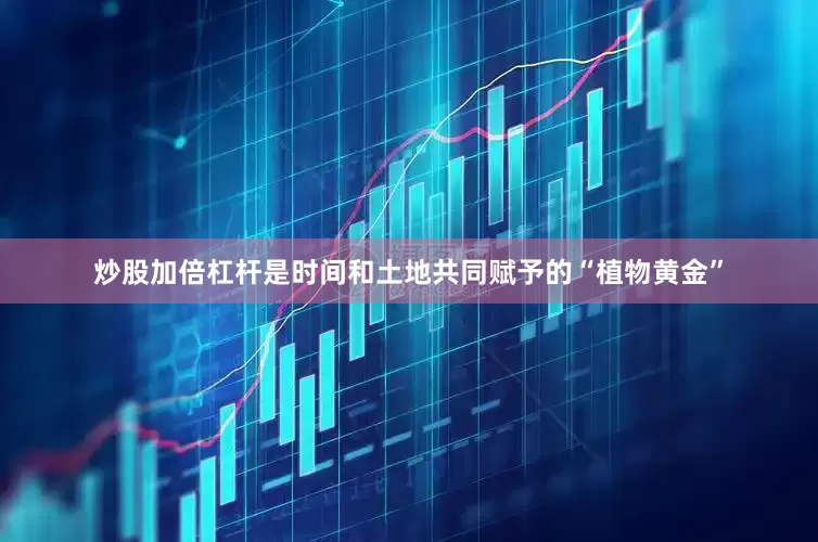炒股加倍杠杆是时间和土地共同赋予的“植物黄金”
