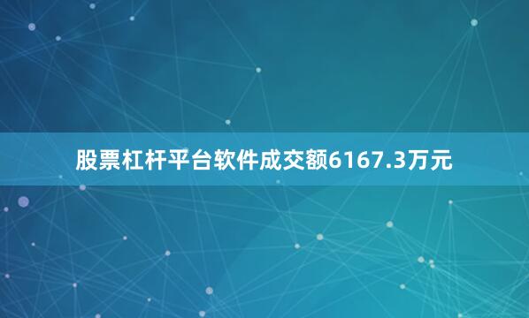 股票杠杆平台软件成交额6167.3万元