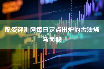 配资评测网每日定点出炉的古法烧马岗鹅