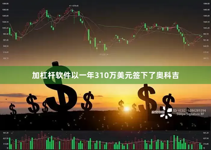 加杠杆软件以一年310万美元签下了奥科吉