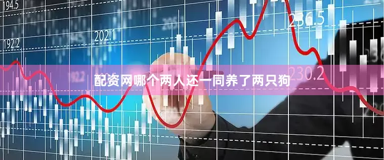 配资网哪个两人还一同养了两只狗